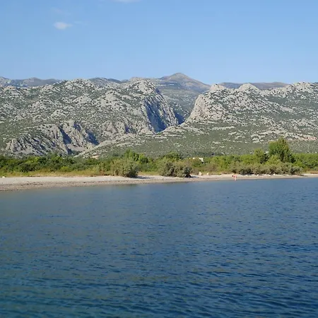 Holiday Jukici