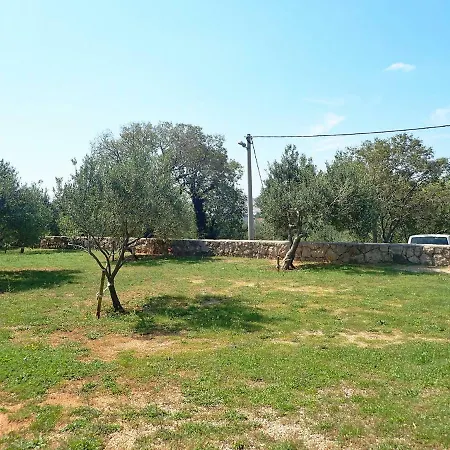 Jukici