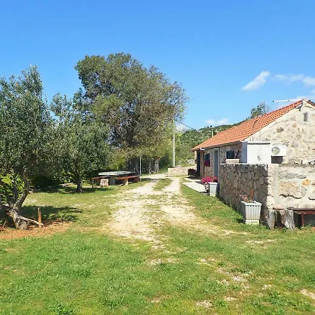 Jukici